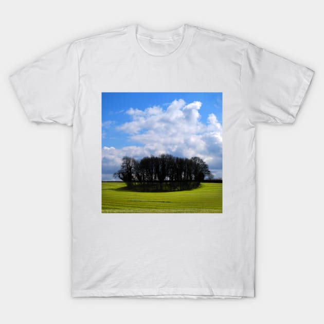 Chesterblade fields. T-Shirt by JonDelorme